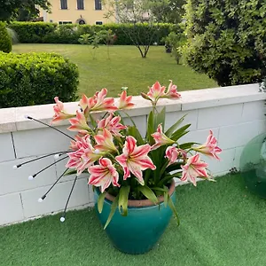  Appartamento House